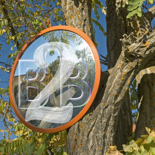 B2B Influencer Blindspot Blog Post